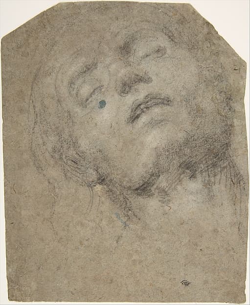 Study of a Head — Giovanni Gerolamo Savoldo