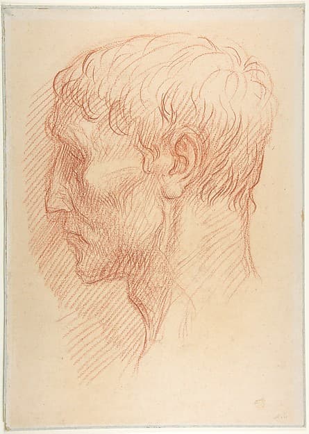 Head of a Quarryman — Alphonse Legros