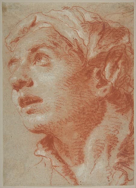 Head of a Young Man in Three-Quarter View — Giovanni Battista Tiepolo