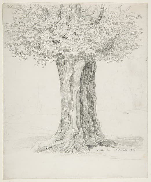 Study of a Tree; verso: Study of Houses — Ernst Ferdinand Oehme