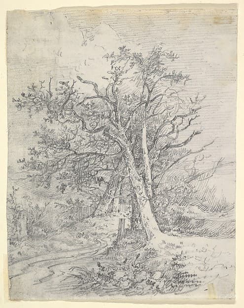 Study for Tree Trunks and Lane — John Crome