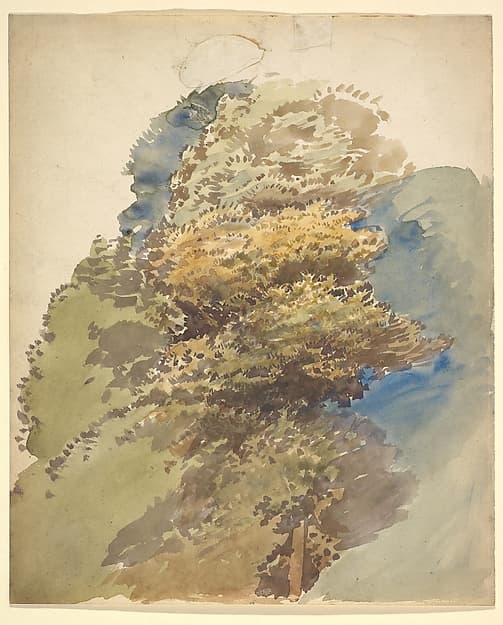 Study of a tree — George Richmond