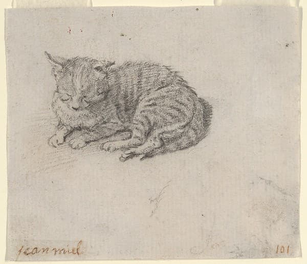 Study of a Sleeping Cat — Jan Miel