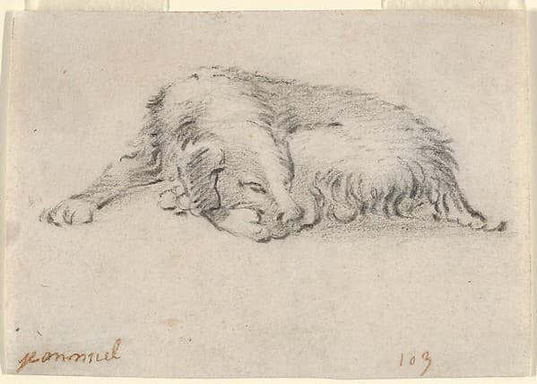 Study of a Sleeping Dog — Jan Miel