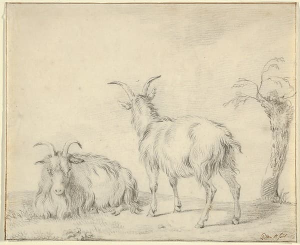 A Standing and a Lying Goat Near a Small Tree — Pieter Gerardus van Os