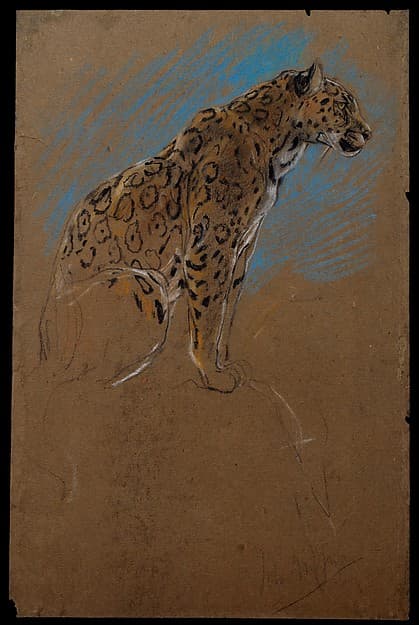 Study of a Jaguar — John Macallan Swan