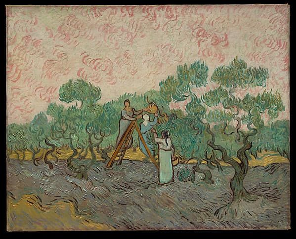 Women Picking Olives — Vincent van Gogh