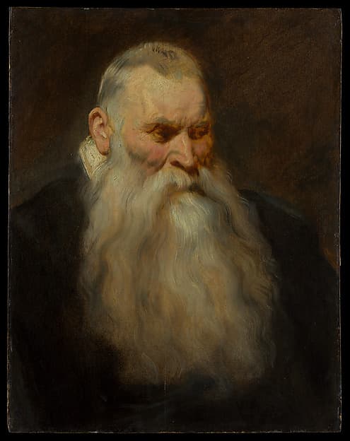 Study Head of an Old Man with a White Beard — Anthony van Dyck