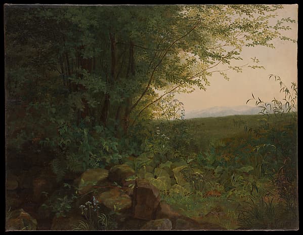 At the Edge of the Forest — August Heinrich