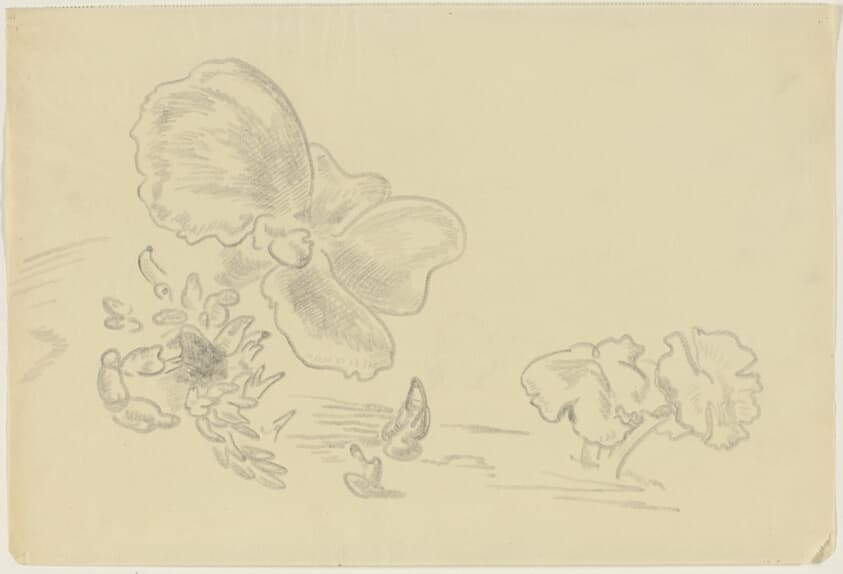 Study for Flowering Stump — Peter Blume