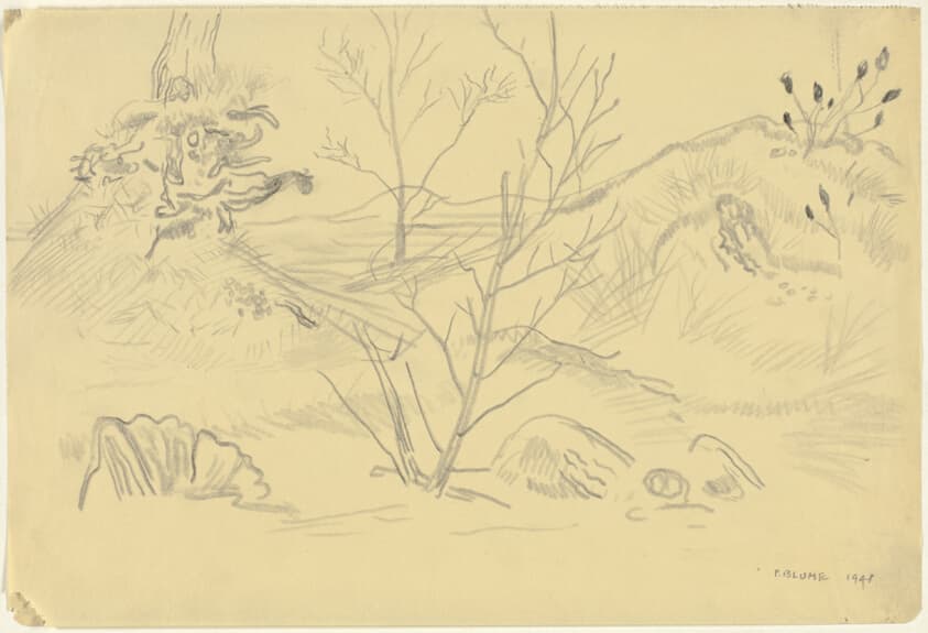 Trees, Roots and Fungi — Peter Blume
