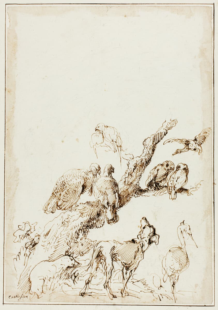 Birds and Animals around a Dead Tree — Giovanni Benedetto Castiglione