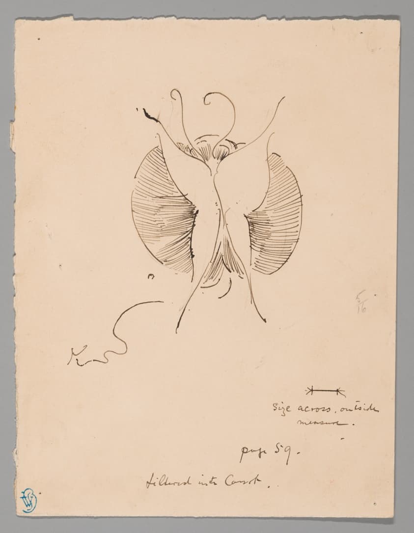 Butterfly (recto); Fragment of Butterfly (verso) — James McNeill Whistler