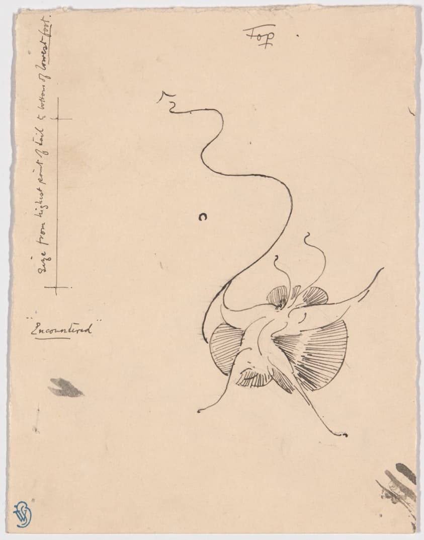 Butterfly "Encountered" (recto); Sketch for Tailpiece (verso) — James McNeill Whistler