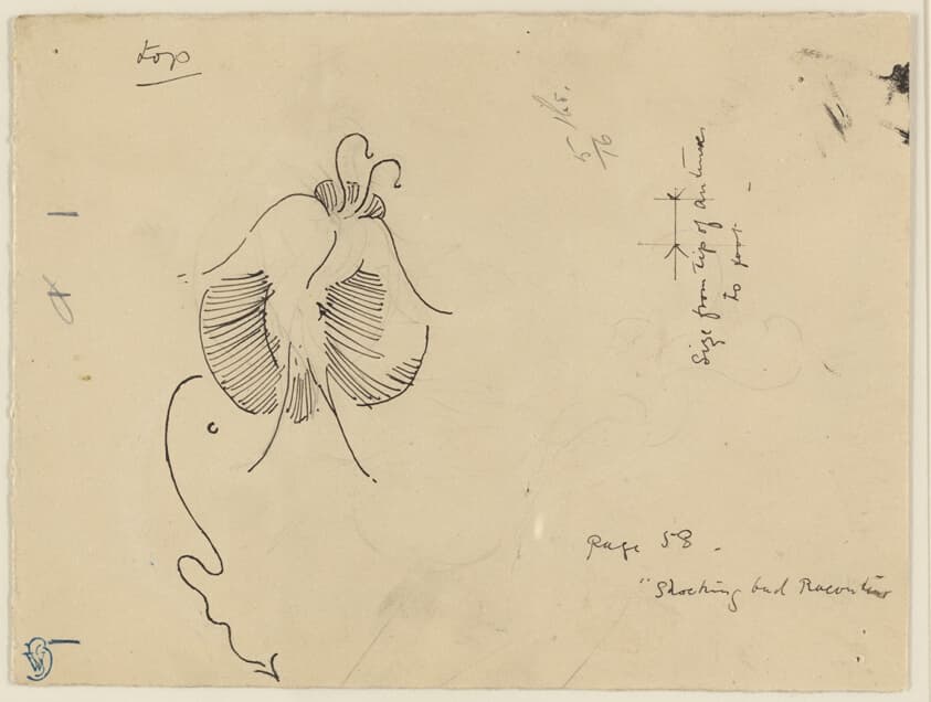 Butterfly (recto); Fragment of Butterfly (verso) — James McNeill Whistler