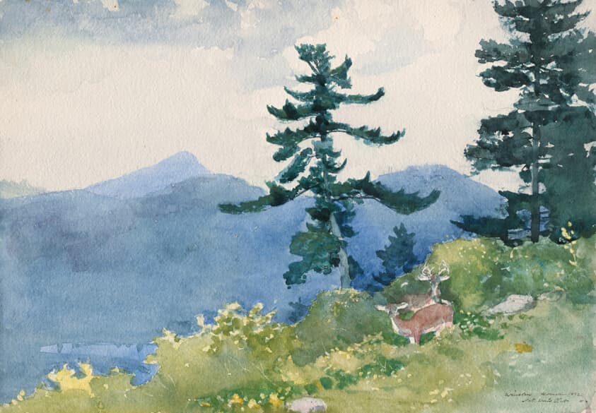 North Woods Club, Adirondacks (The Interrupted Tete-a-Tete) — Winslow Homer