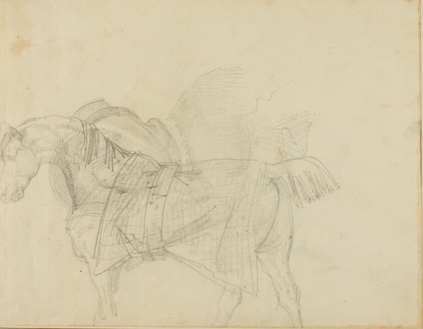 Horse Wearing a Blanket — Jean Louis André Théodore Géricault
