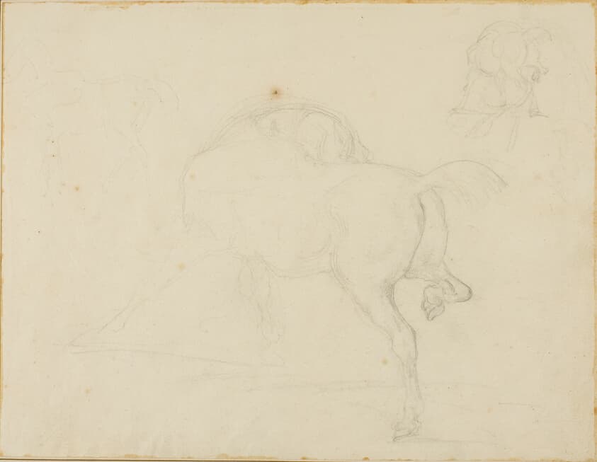 Study of a Horse Turning Its Head and Raising His Hind Leg — Jean Louis André Théodore Géricault