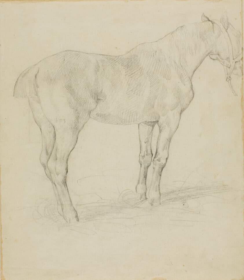 Standing Horse — Jean Louis André Théodore Géricault