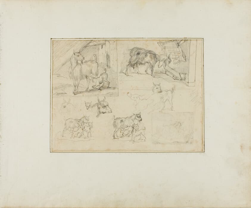 Sketches of Goats — Jean Louis André Théodore Géricault