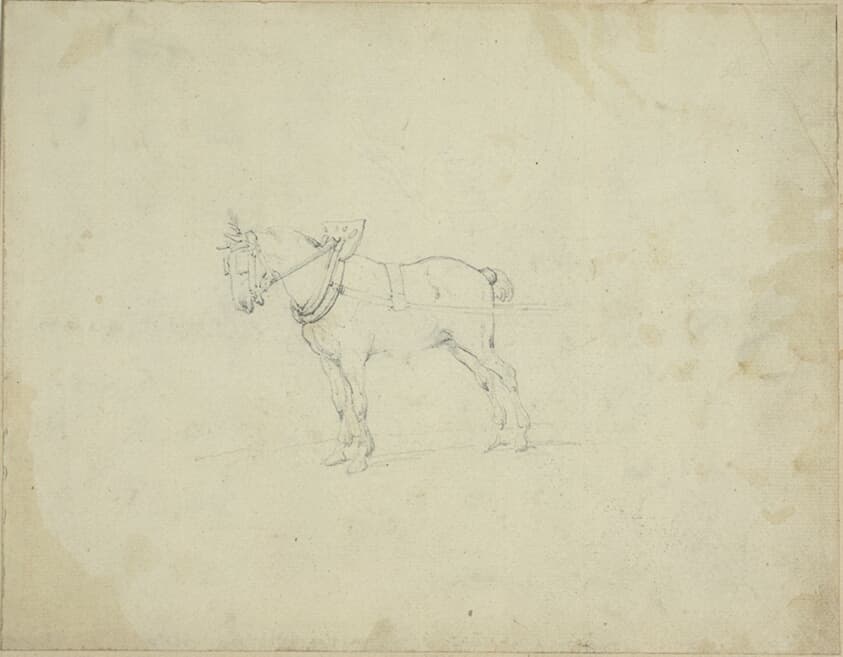 Draught Horse — Jean Louis André Théodore Géricault