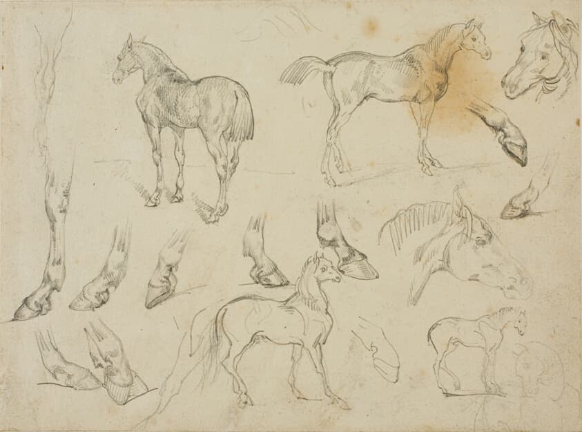 Sketches of a Horse — Jean Louis André Théodore Géricault