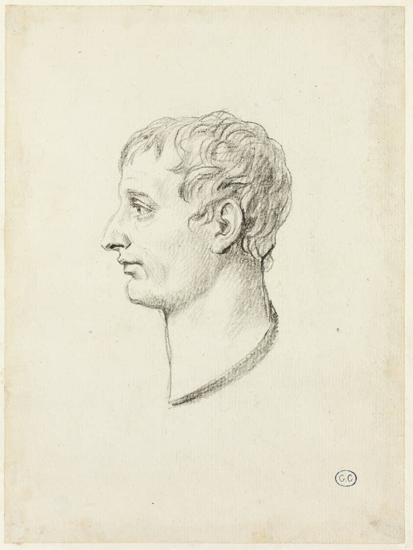 Profile of Napoleon — Jacques-Louis David