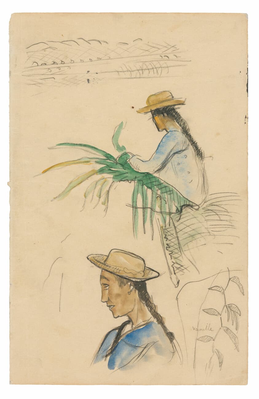 Sketches of Figures, Pandanus Leaf, and Vanilla Plant — Paul Gauguin