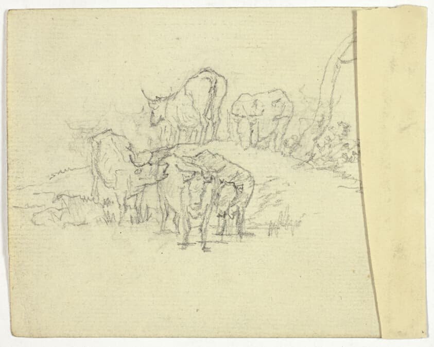 Cattle (recto); The Charlatan (verso) — William Henry Pyne