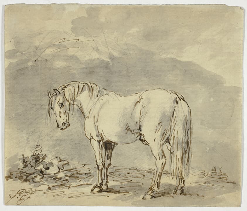 Standing Horse with Head Turned — Sawrey Gilpin