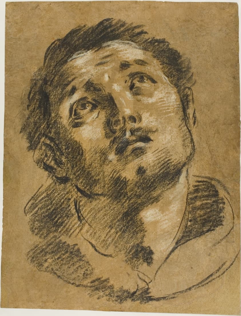 Head of Saint Stephen: Study for the Martyrdom of Saint Stephen — Jacopo Cavedone