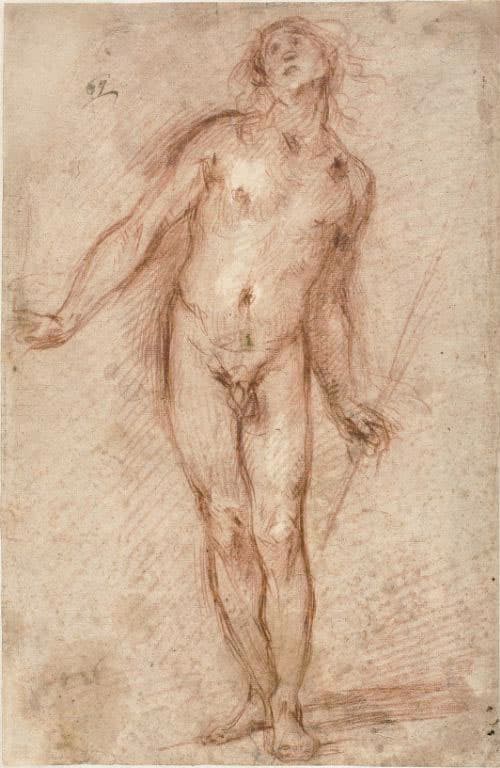 Standing Male Nude — Cecco Bravo