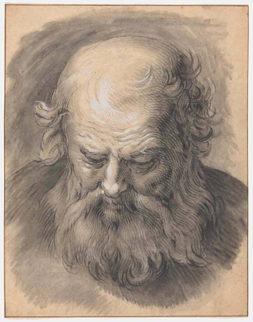Study of the Head of a Bearded Man — Abraham Bloemaert