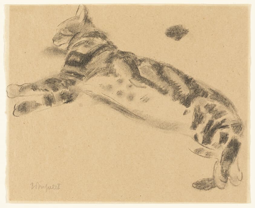 Sleeping Cat — Jane Poupelet