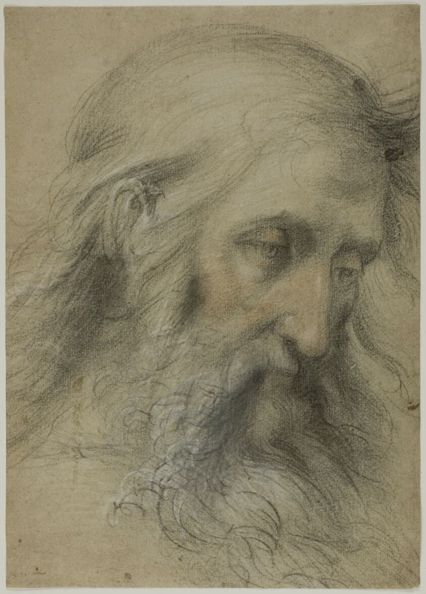 Head of Saint John the Evangelist: Study for the Disputation on the Immaculate Conception — Giovanni Antonio Sogliani