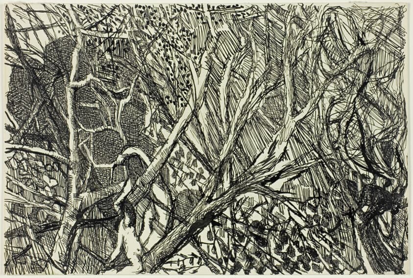 Nudes in Trees — Louis Soutter