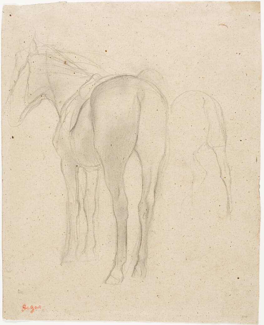 Studies of a Horse — Edgar Degas