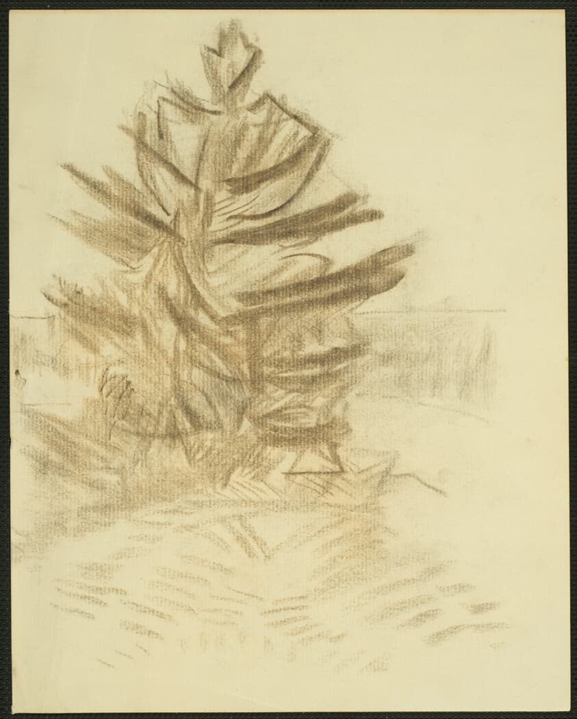 Untitled (Evergreen Tree, Maine) — John Marin