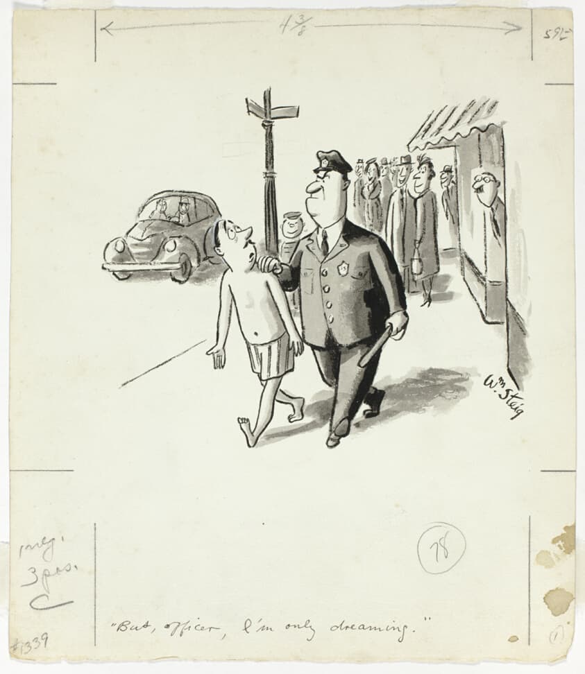But, Officer, I'm Only Dreaming — William Steig