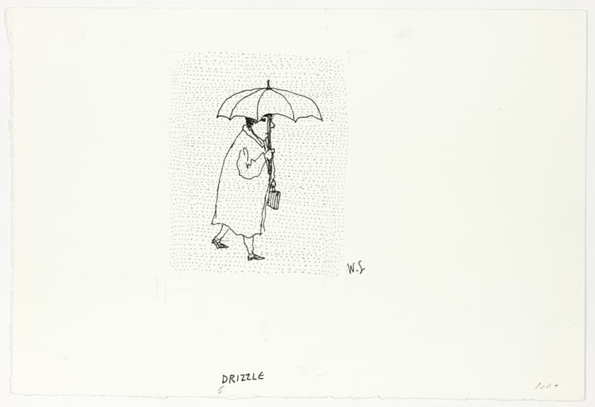 Drizzle — William Steig