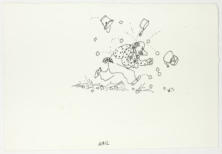 Hail — William Steig
