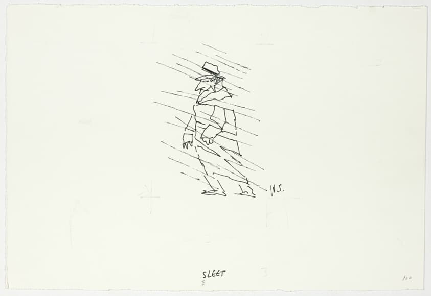Sleet — William Steig