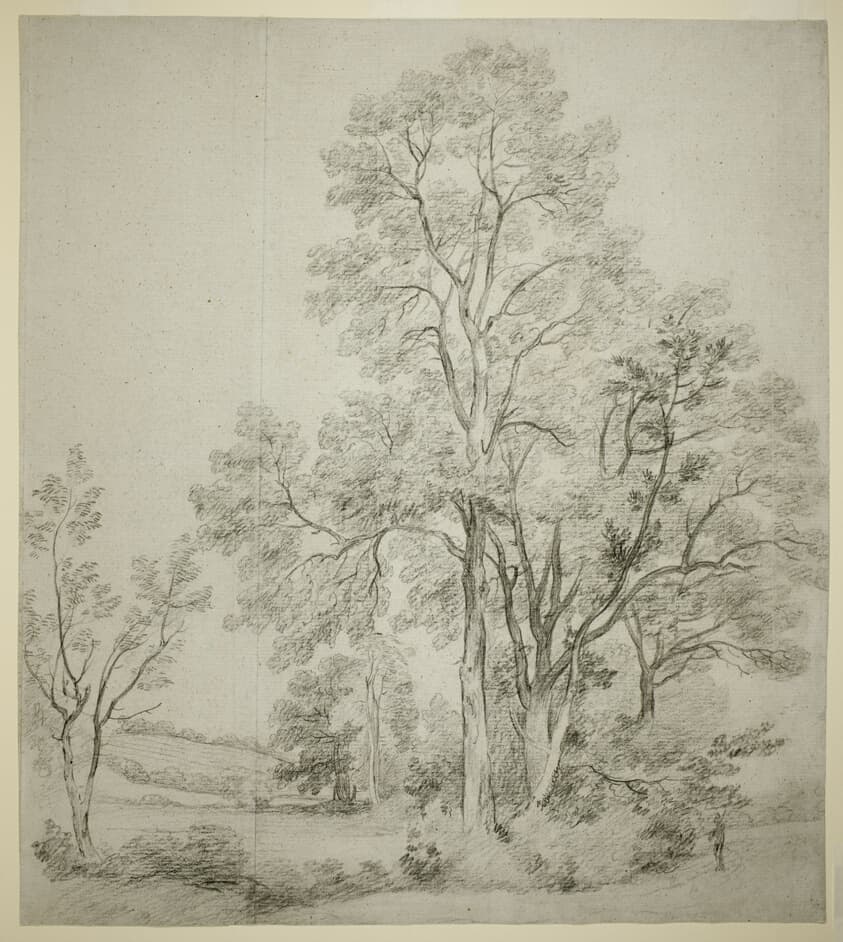 A Stand of Elm Trees (recto); A Study of East Bergholt with the Church (verso) — John Constable