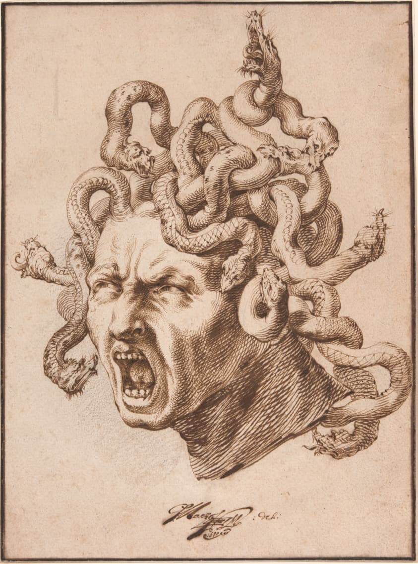 Head of Medusa — Godfried Maes
