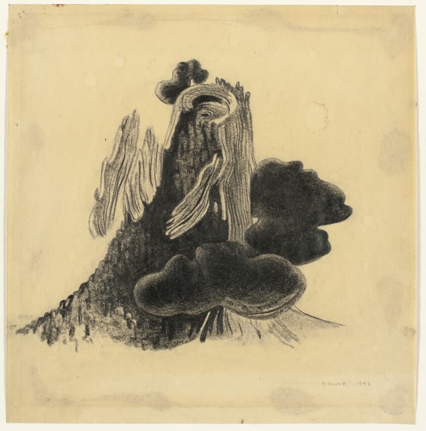 Study for Flowering Stump — Peter Blume