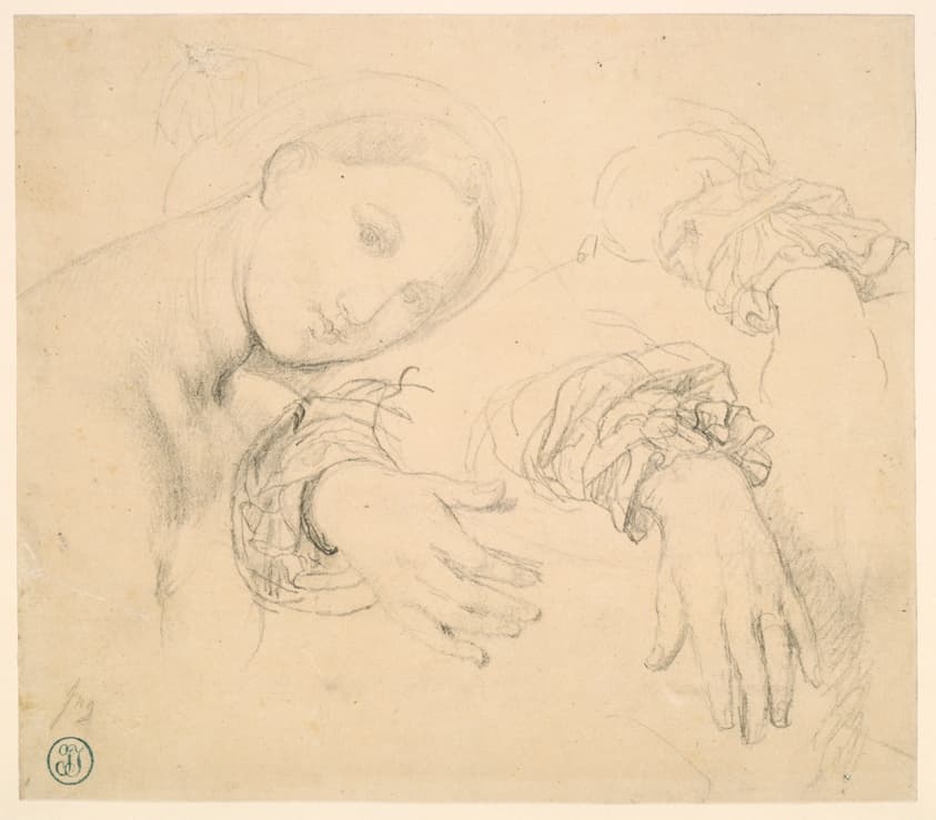 Sheet of Studies with the Head of the Fornarina and Hands of Madame de Senonnes — Jean–Auguste–Dominique Ingres