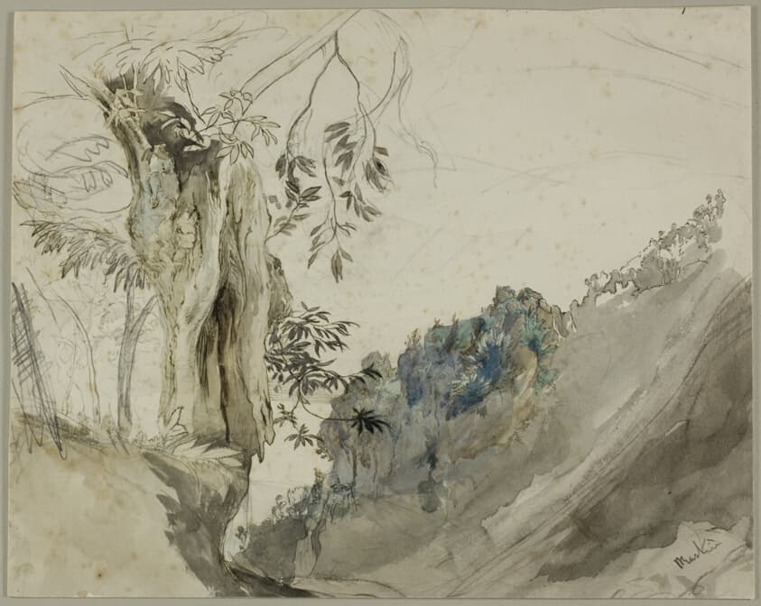 Spanish Chestnut — John Ruskin