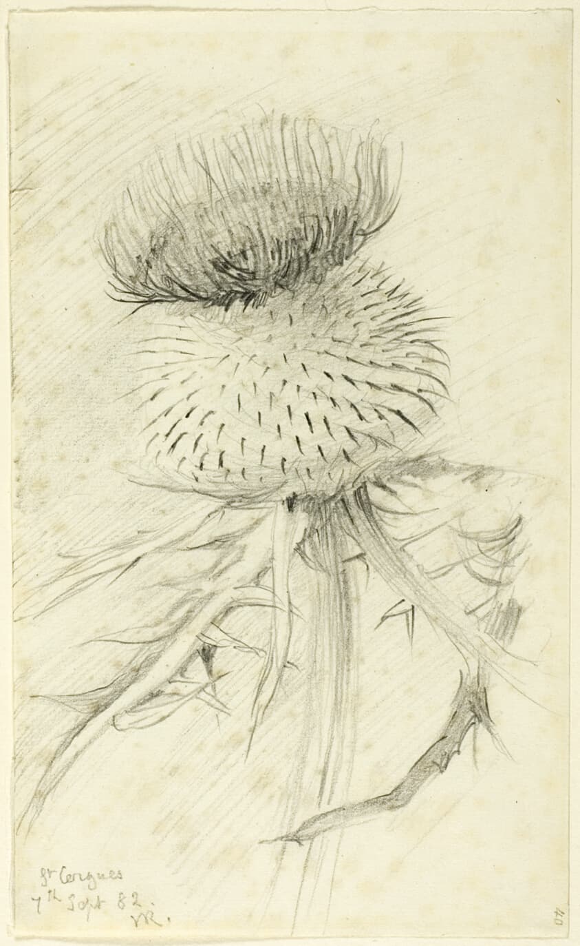 St. Cergues — John Ruskin