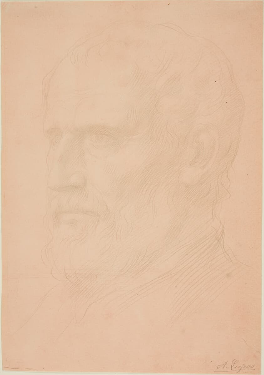 Head of a Man with a Beard — Alphonse Legros