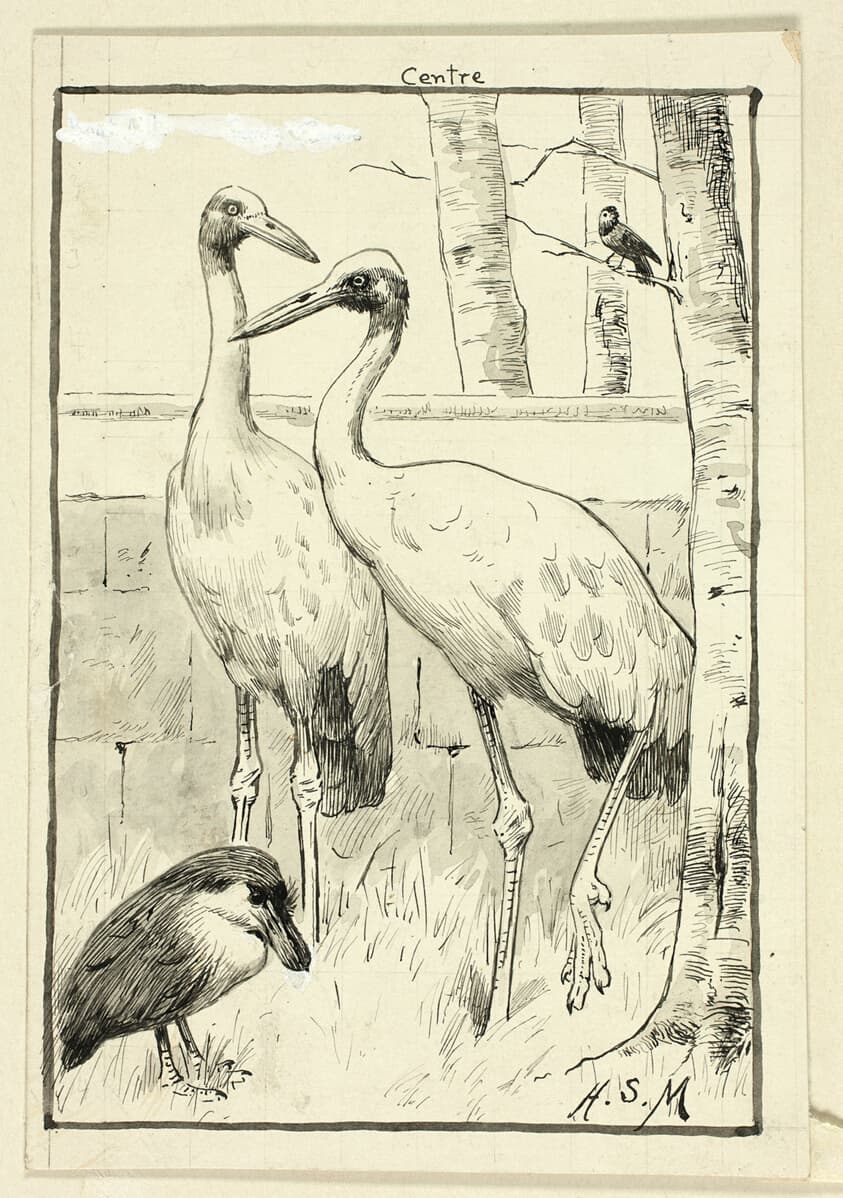 Four Birds in Landscape — Henry Stacy Marks